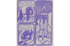 shipscat_greypurpleriso_3