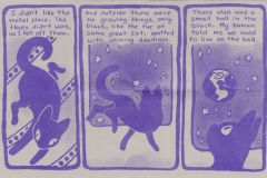 shipscat_greypurpleriso_4