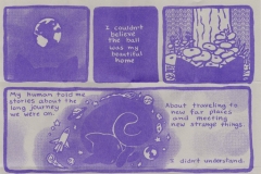 shipscat_greypurpleriso_5